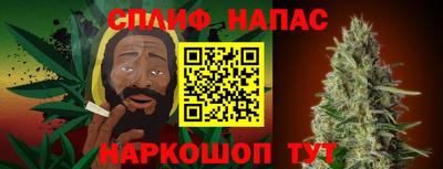 ECSTASY Новозыбков
