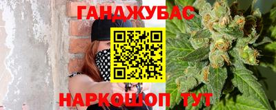 ECSTASY Новозыбков