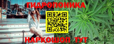 мяу мяу мука Новокубанск
