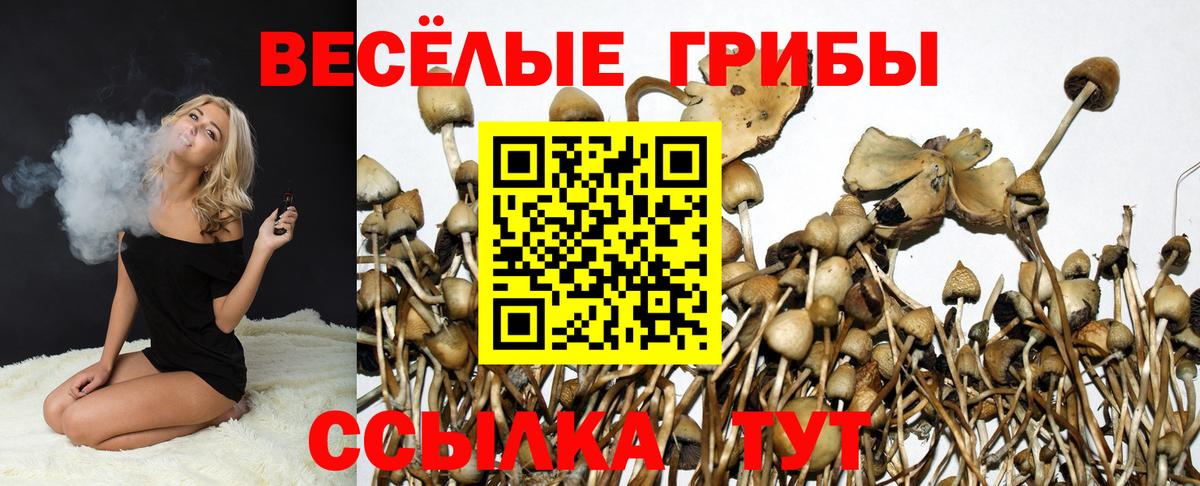 Галлюциногенные грибы Cubensis Сорочинск